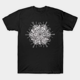 Psychedelic Mandala Pattern | Visionary Art T-Shirt